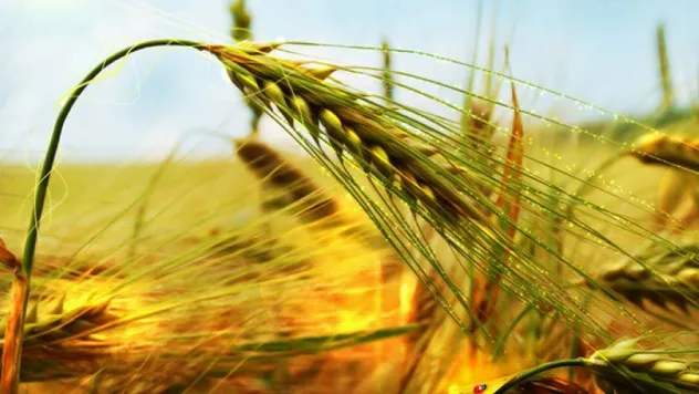 Çiftçiler borç ertelemesi istiyor