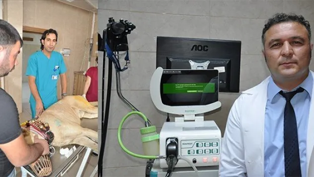 ERÜ'den hayvanlara 7/24 hizmet