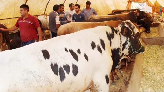 Kurban pazarında yoğunluk sürüyor