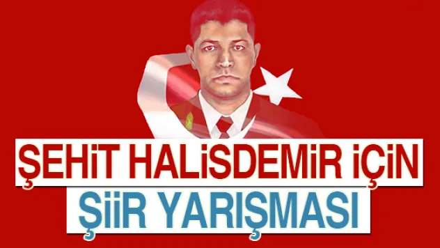ŞEHİT HALİSDEMİR İÇİN ŞİİR YARIŞMASI