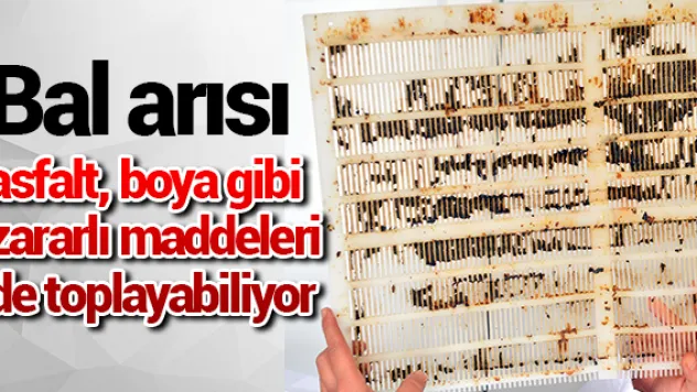 Arıcılara &quotHam propolis satmayın&quot uyarısı