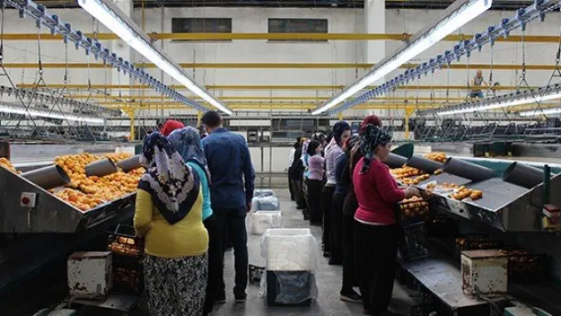 'İyi tarım' için teknik gezi