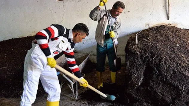 Özel güvenlikti, solucan gübresi üretmeye başladı