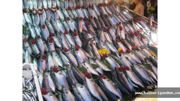 Palamut yemenin tam vakti