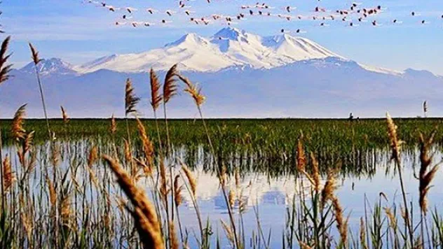 Sultan Sazlığı'nda kaçak av pahalıya mal oldu