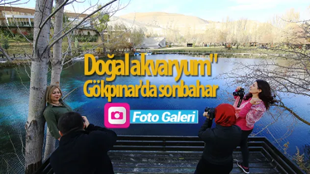 &quotDoğal akvaryum&quot Gökpınar'da sonbahar