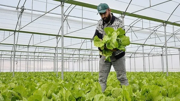 Genç Çiftçi Projesi meyvelerini verdi