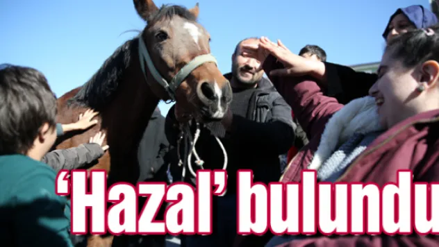 Otistik çocukların çalınan atı &quotHazal&quot bulundu