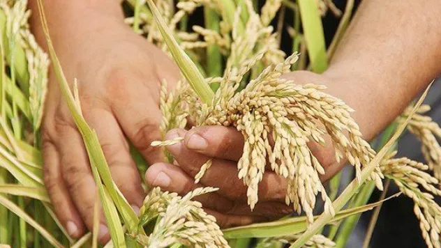 TİGEM 3 bin 713 işçi almayı planlıyor