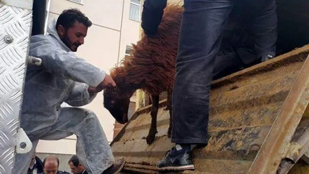 Genç çiftçi destekleri devam ediyor