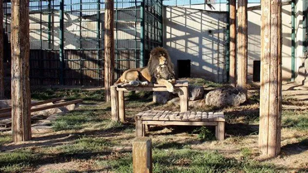 Hayvanat Bahçesini 283 bin kişi ziyaret etti