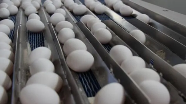 Tüketiciyi üzdü üreticiye nefes aldırdı