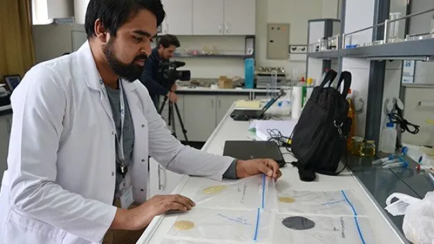 Böcek zırhından zayıflama hapı geliştirildi