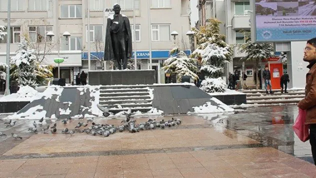 Cebindeki son parasıyla güvercinleri doyurdu