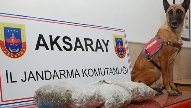 Esrar kaçakçıları yakayı ele verdi