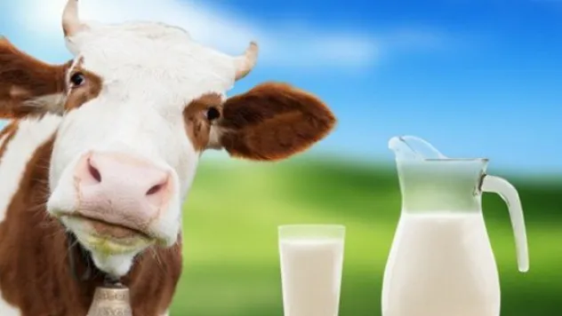 Çocuklarda görülen inek sütü alerjisine dikkat