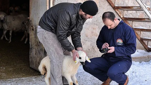 Elektronik Kimliklendirme işlemleri sürüyor