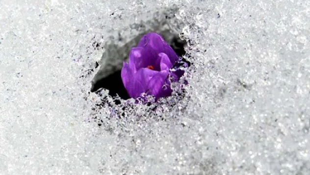 İlk cemre yarın düşüyor