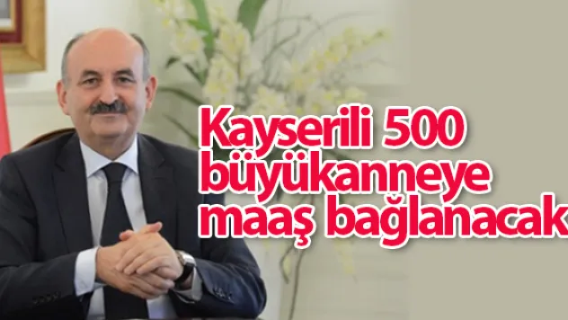 Kayserili 500 Büyükanneye maaş bağlanacak