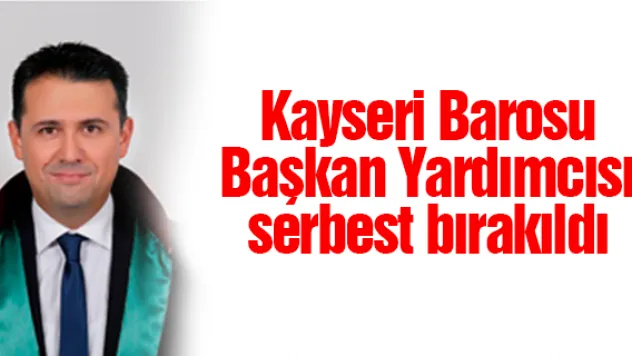 Oğuz Erinç serbest bırakıldı