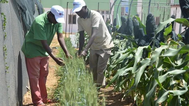 Somali 'Tarım Okulu Projesi' yılın projesi seçildi