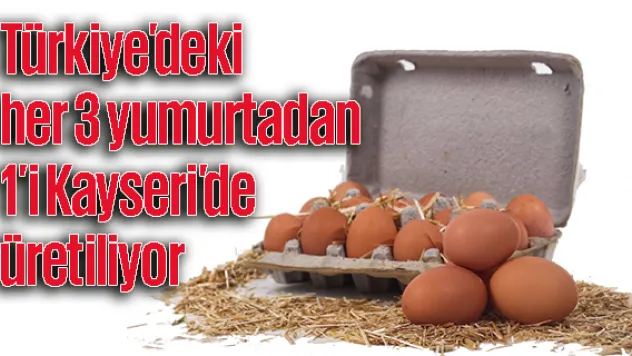Türkiye'deki her 3 yumurtadan 1'i Kayseri'de üretiliyor