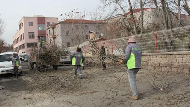 Yeşil Bir İncesu İçin Çalışmalar Devam Ediyor