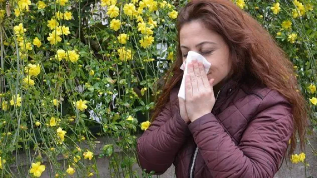 Bahar yorgunluğunun nedeni alerji