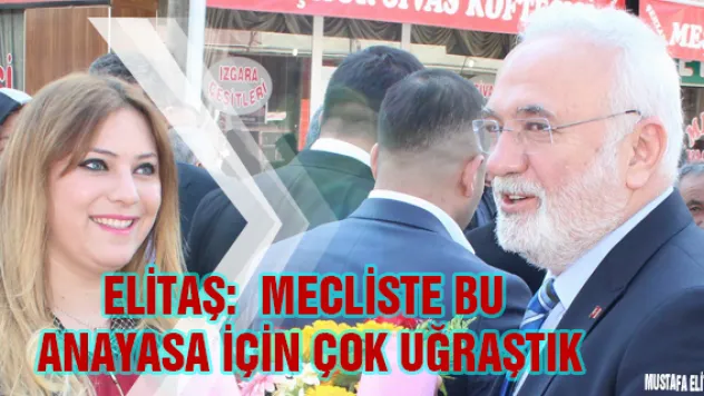 Elitaş: Mecliste bu anayasa için çok uğraştık