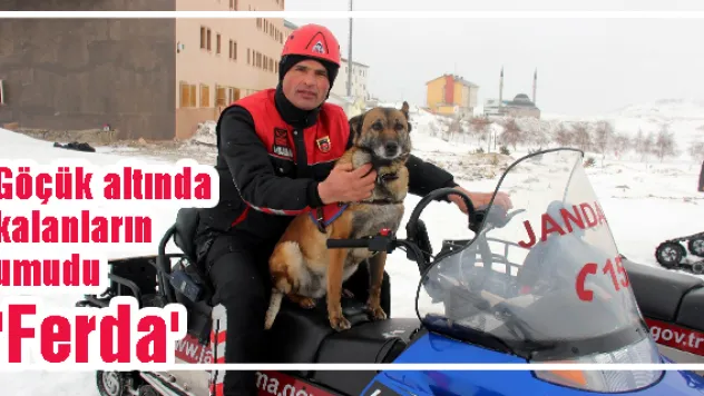 Göçük altında kalanların umudu 'Ferda'