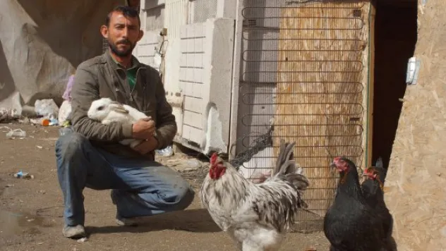 Hurda dükkanı 150 hayvana barınak oldu