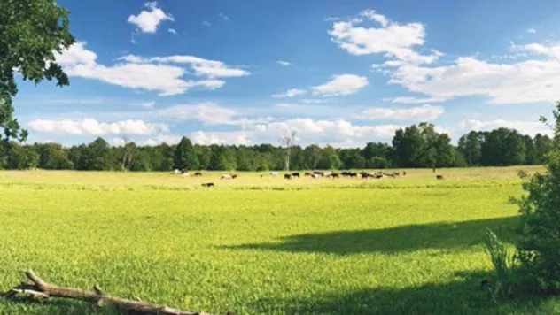 Melikgazi Belediyesinden arsa satışı