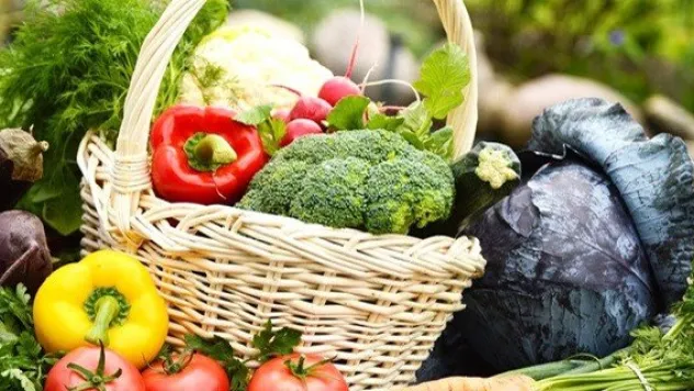 Organik tarım desteği başvuruları için geç kalmayın!