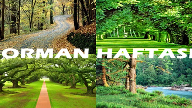 ORMAN ALANLARIMIZ ARTIYOR