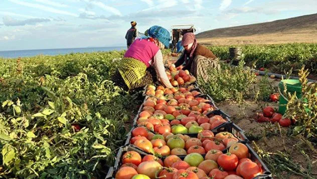 Tarımda ihracat ve ithalat arttı