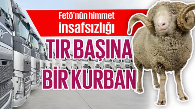 TIR BAŞINA BİR KURBAN