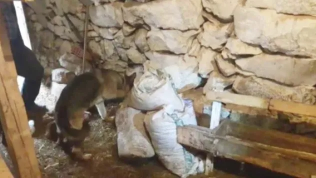 Uyuşturucu operasyonu: 3 gözaltı