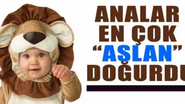 Analar en çok 'aslan' doğurdu