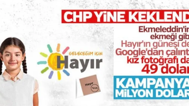 CHP'nin Google'dan bulduğu kız fotoğrafı