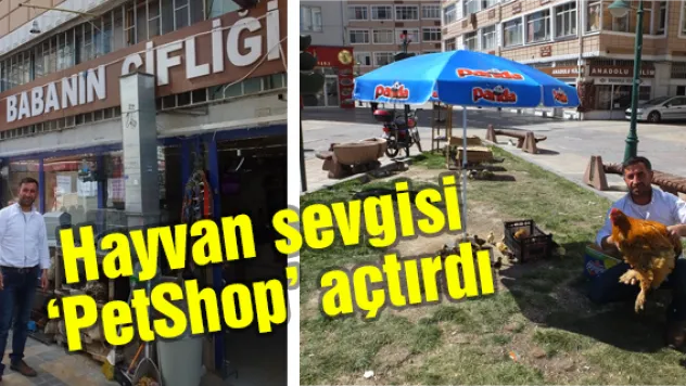 Hayvan sevgisi 'PetShop' açtırdı