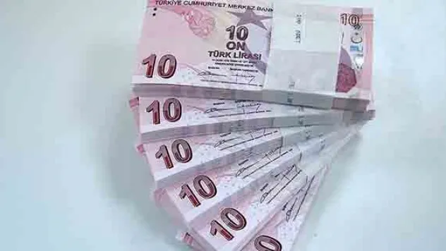 TL'de yükseliş sürecek