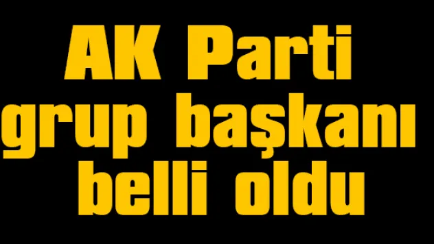AK Parti grup başkanı belli oldu