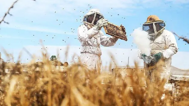 Bal üretiminde Dünya ikincisiyiz