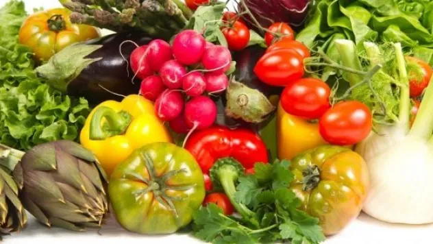 Organik beslenmeye yönelik proje