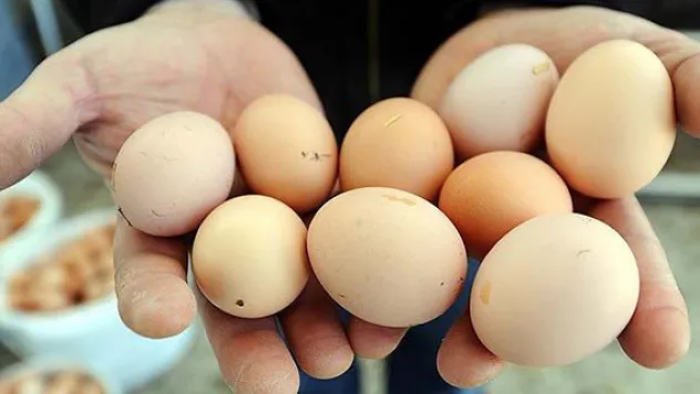 Yumurta fiyatları düştü tavuk fiyatları yükseldi