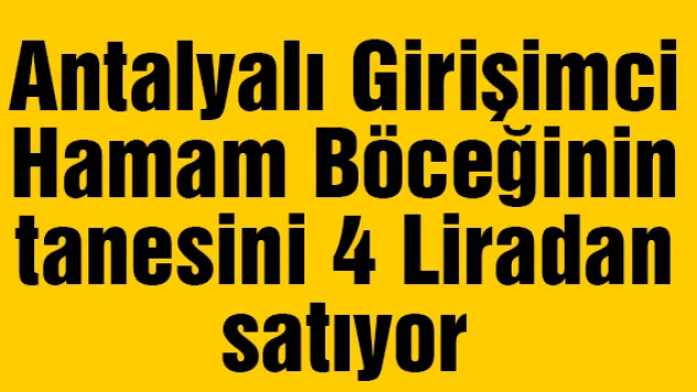 Antalyalı Girişimci Hamam Böceğinin Tanesini 4 Liradan Satıyor