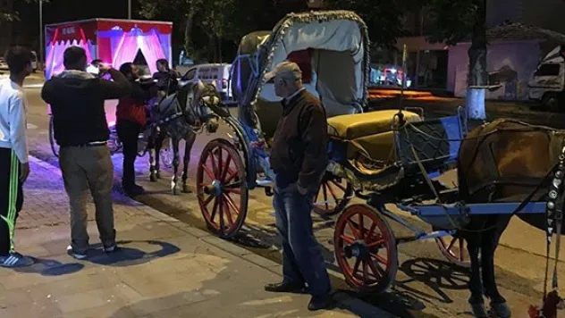 Develi'de fayton turları başladı