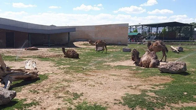 Hayvanat bahçesi misafirlerini bekliyor