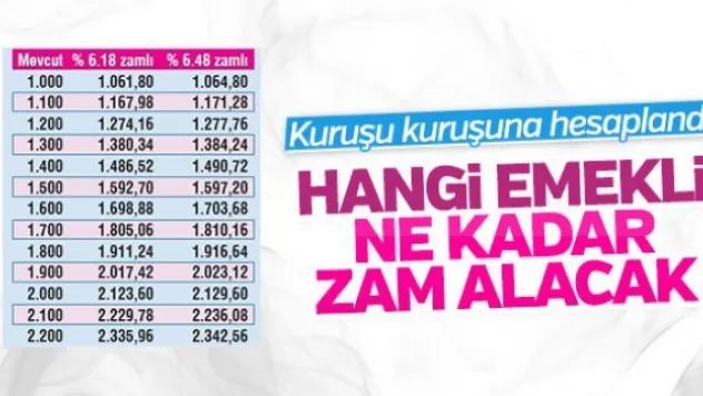 Zamlı emekli maaşları listesi 2017