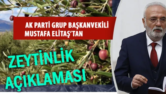 Zeytin krizinde 'ortak yol' adımı